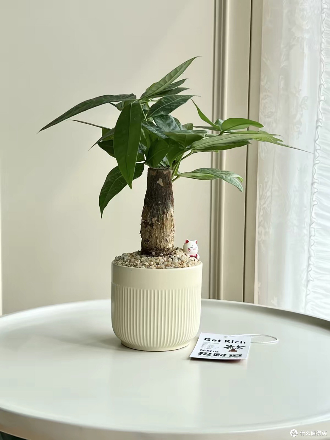 桌搭