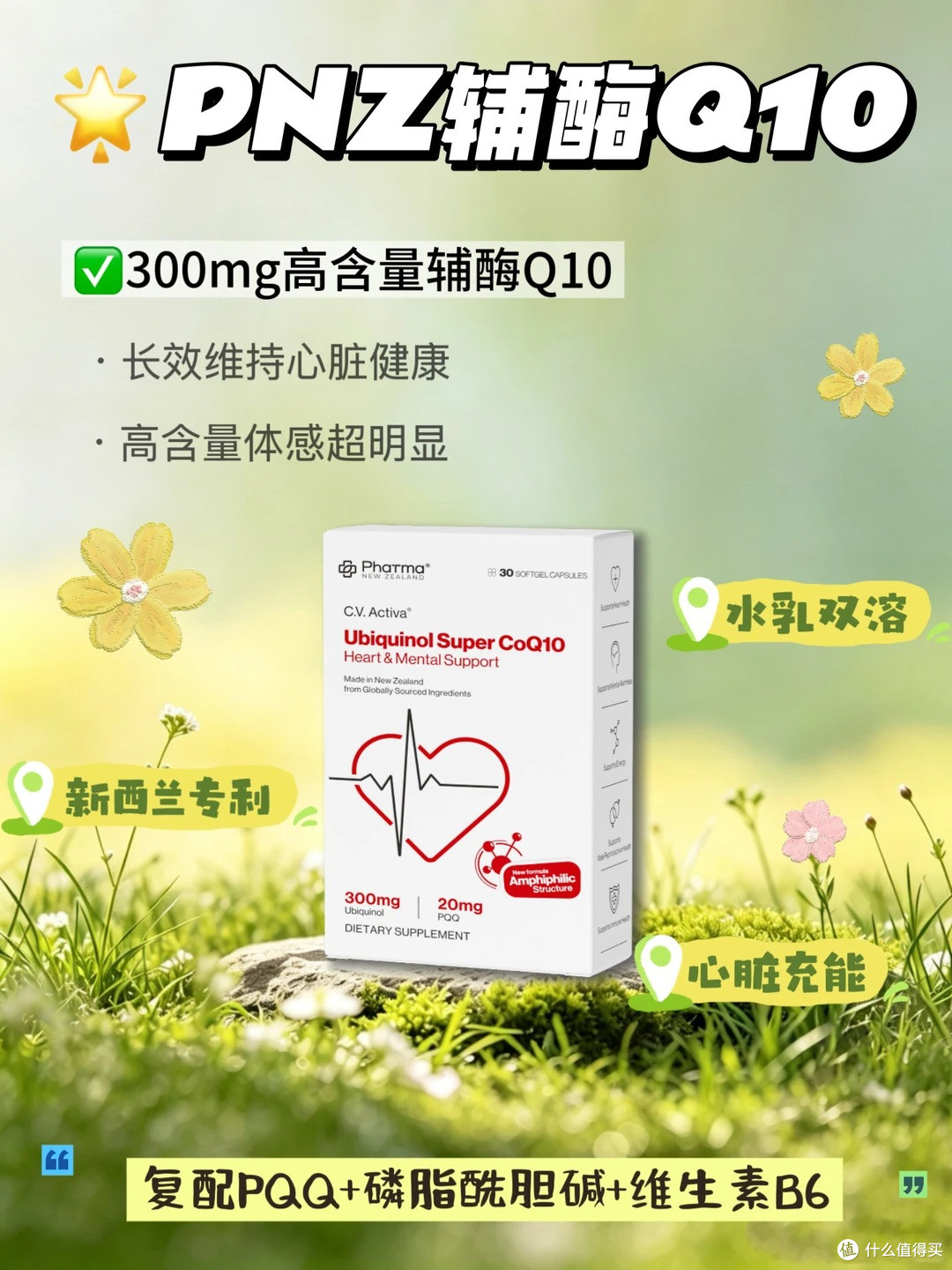 养心补能量🔥辅酶Q10+PQQ才是新一代的神