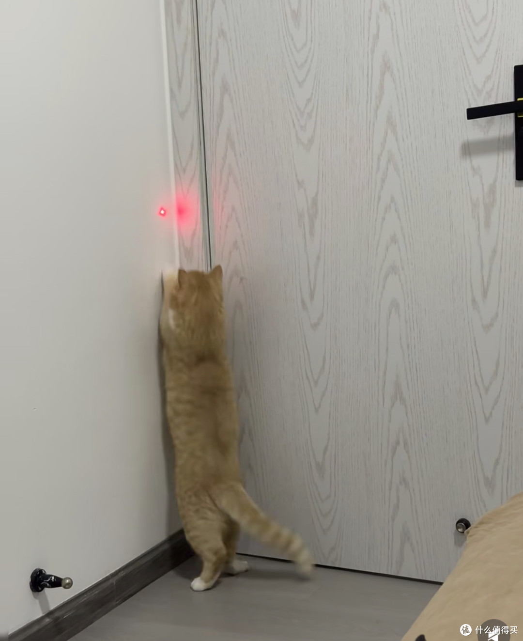 高颜值猫用品提升家居格调
