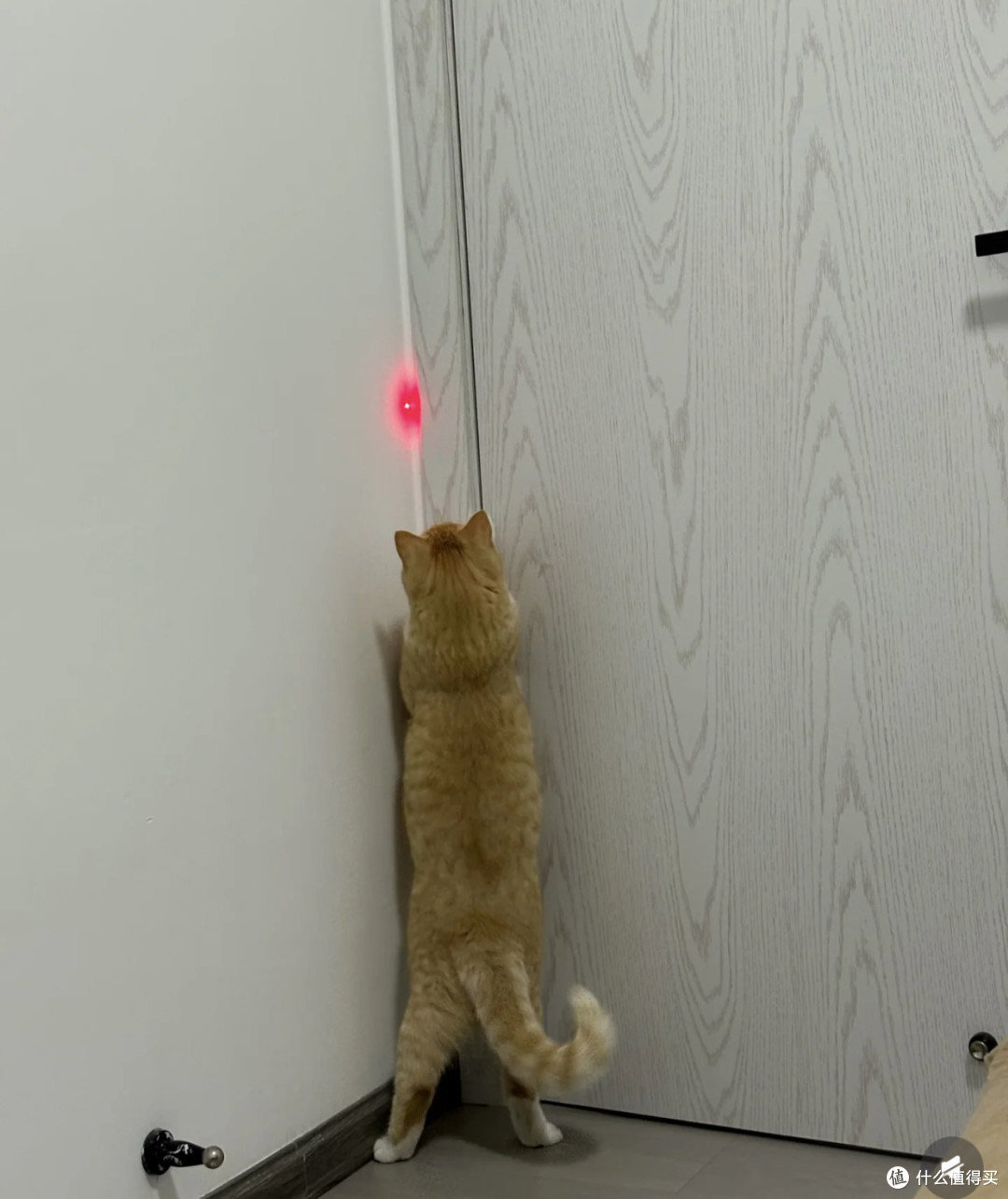 高颜值猫用品提升家居格调