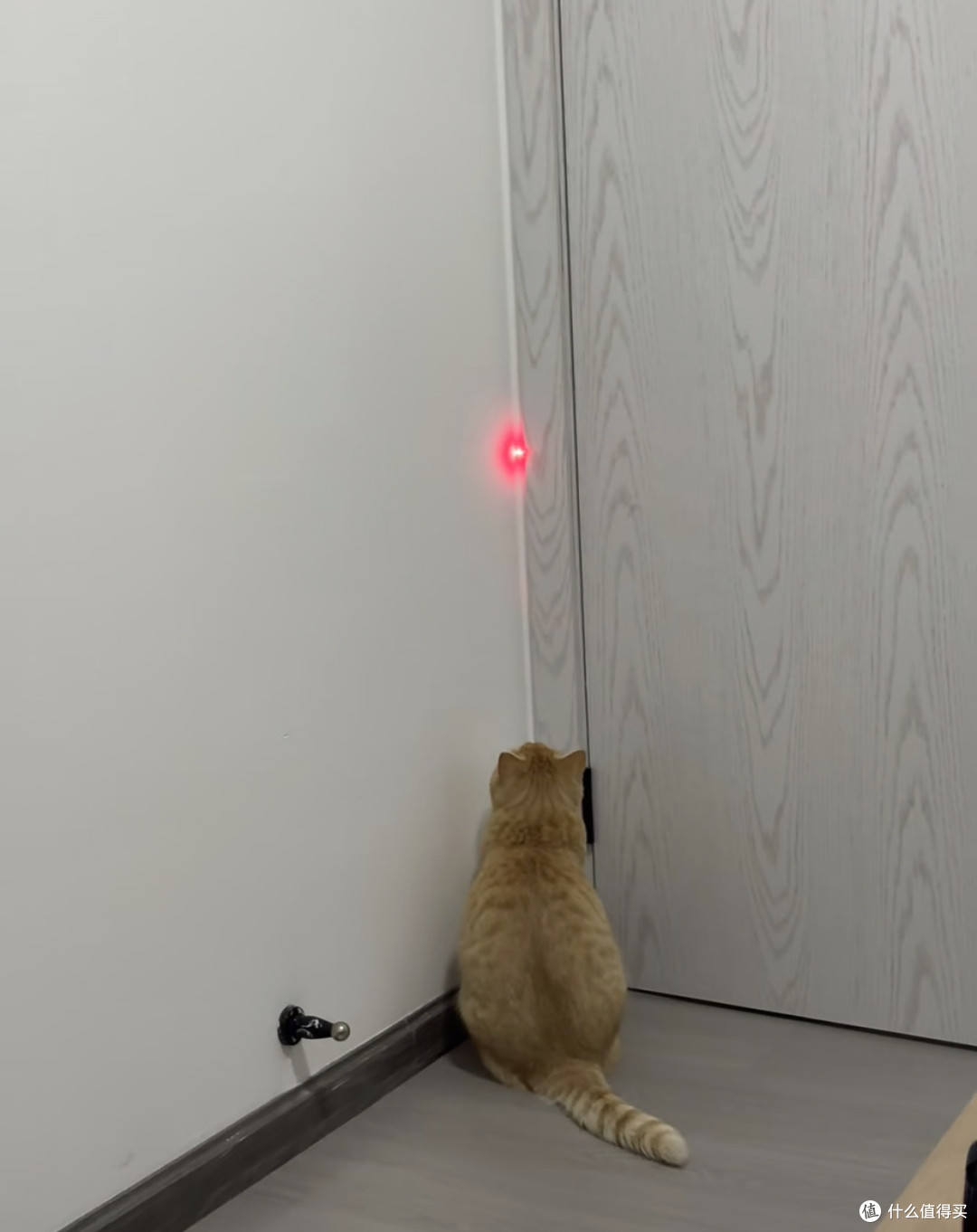 高颜值猫用品提升家居格调