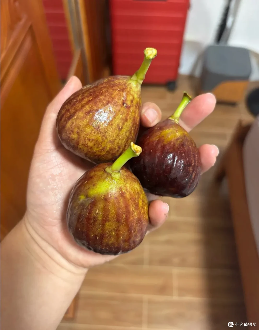 7月,全是大家期待一年的水果