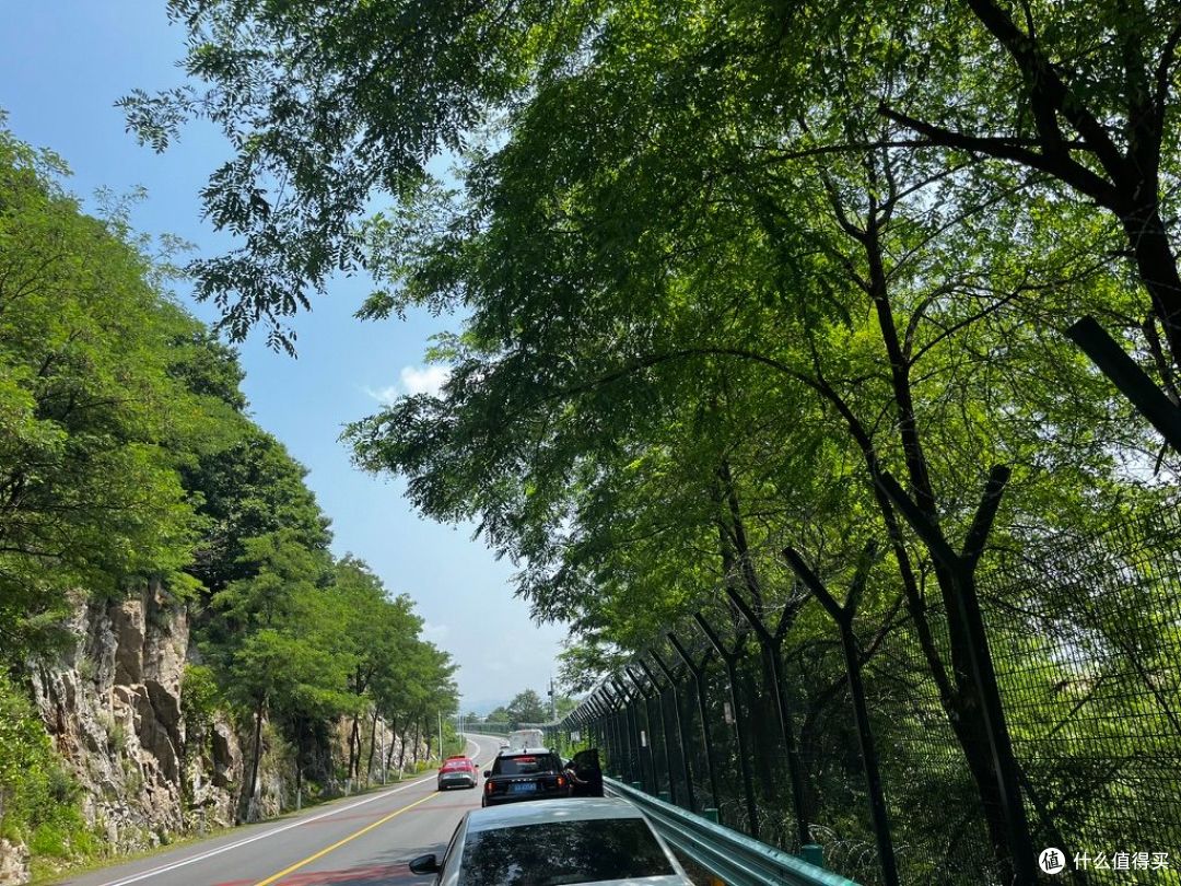 8年省出一台车？开电车真的省钱吗，我来帮你算笔账