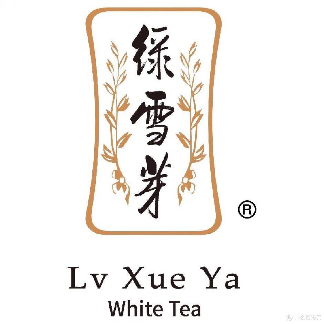 谢师礼白茶收藏向测评:绿雪芽明道