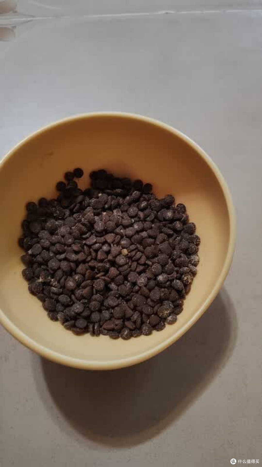诚实一口P40猫粮深度测评