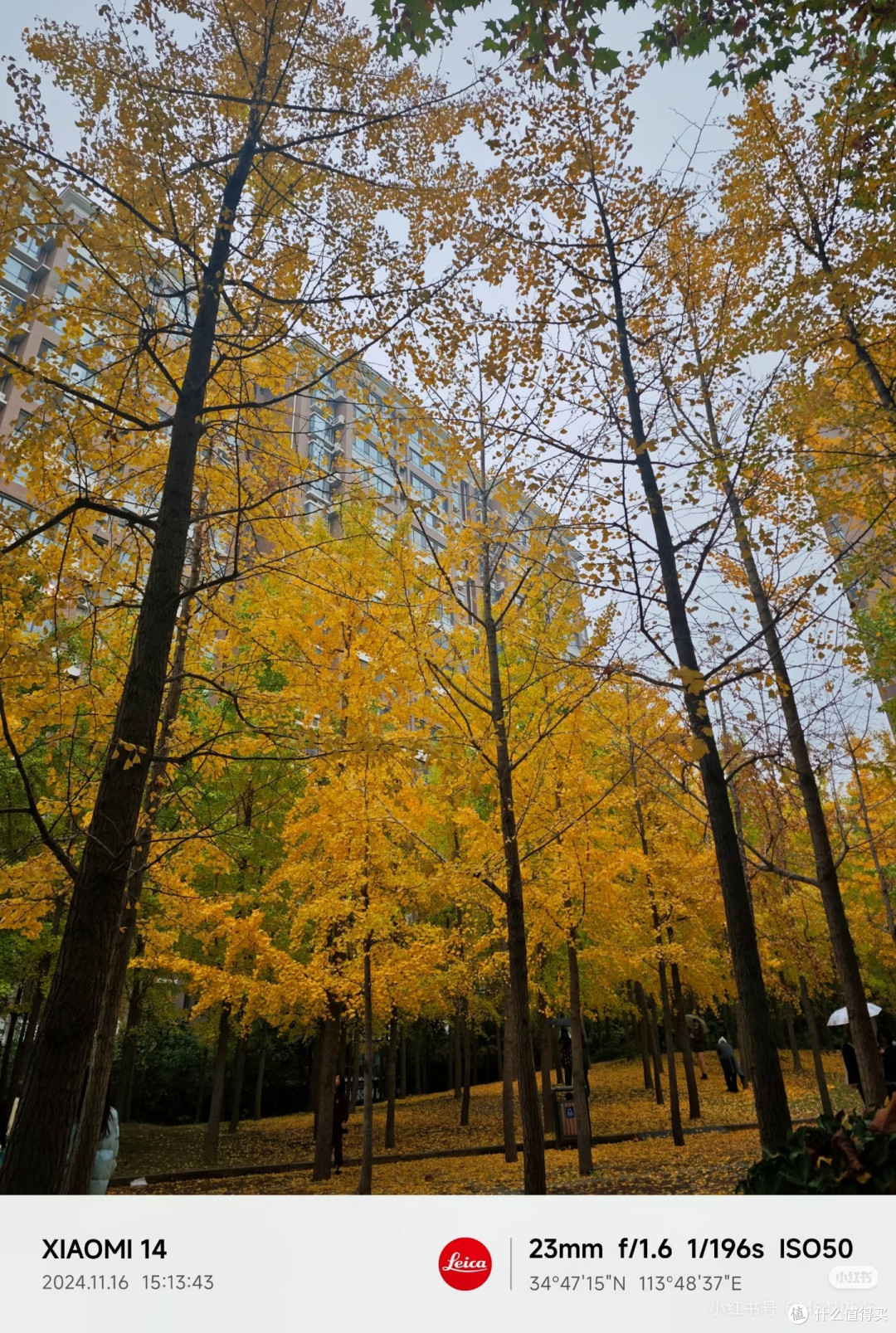 抛开跑分样张,小米14真实日常使用体验