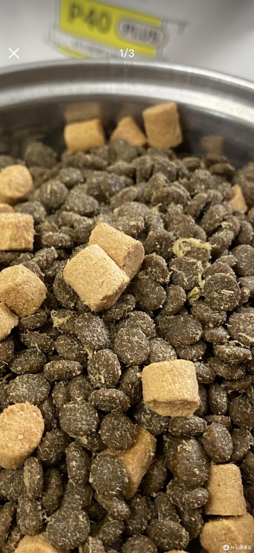 我家猫的精致生活态度