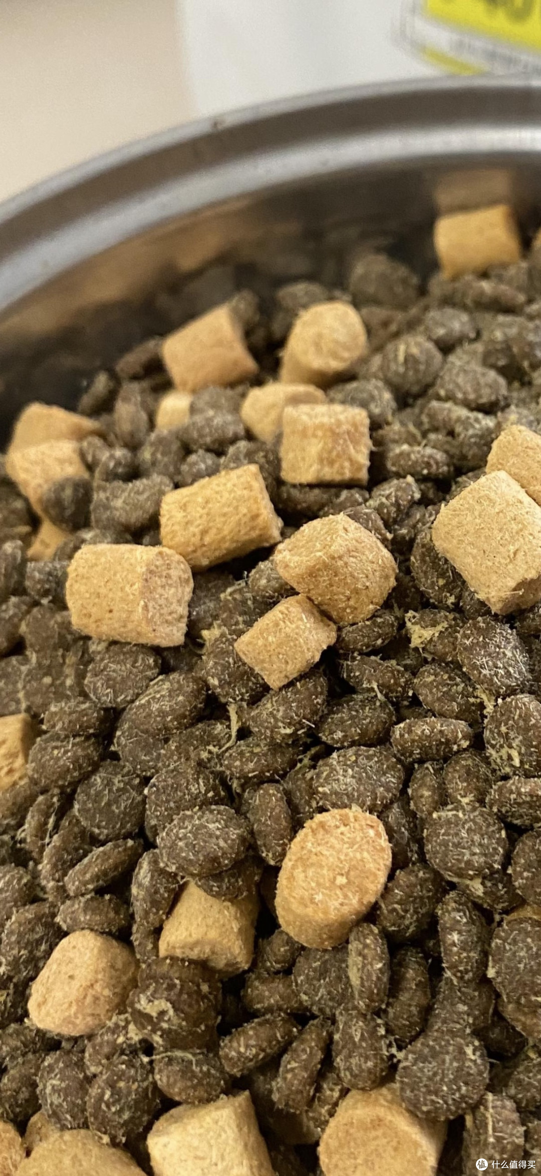 我家猫的精致生活态度