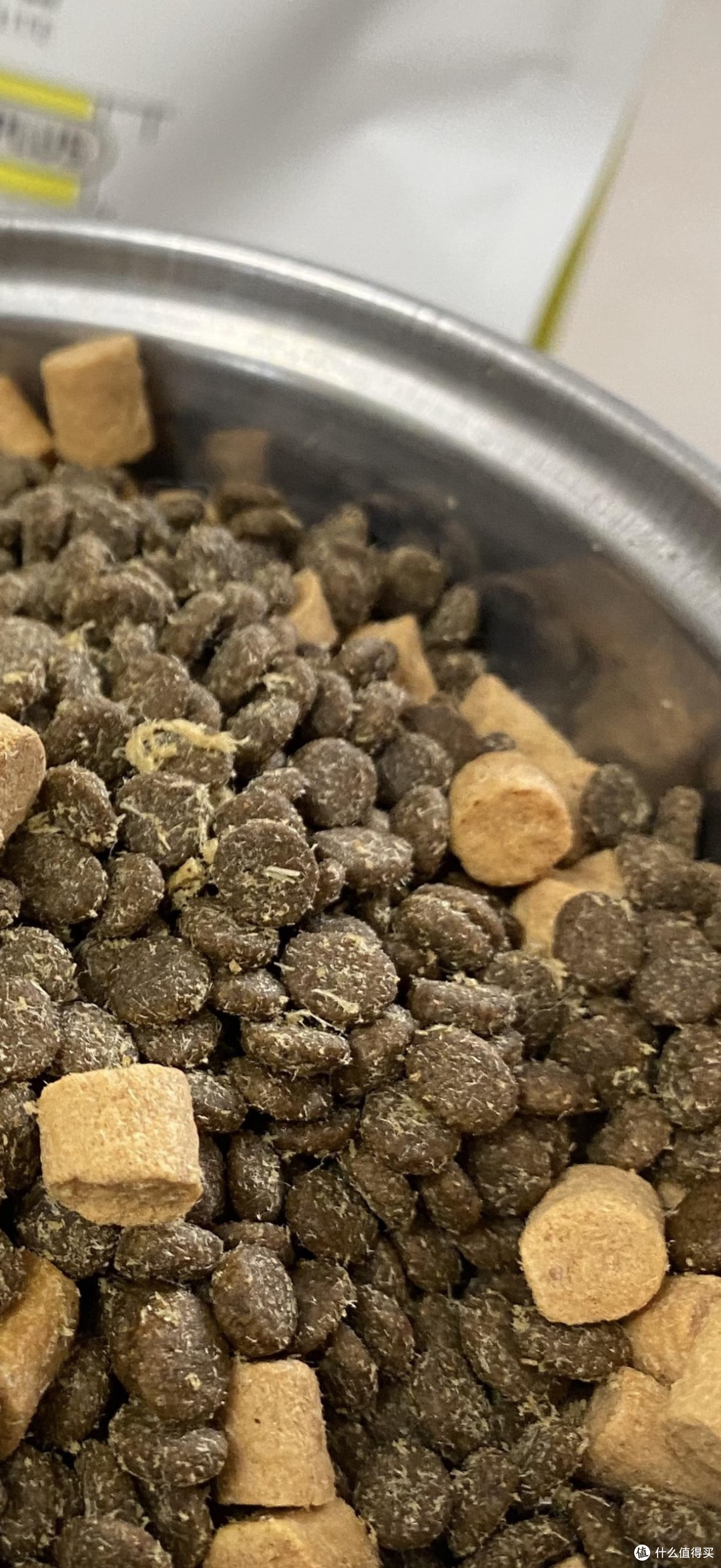 我家猫的精致生活态度