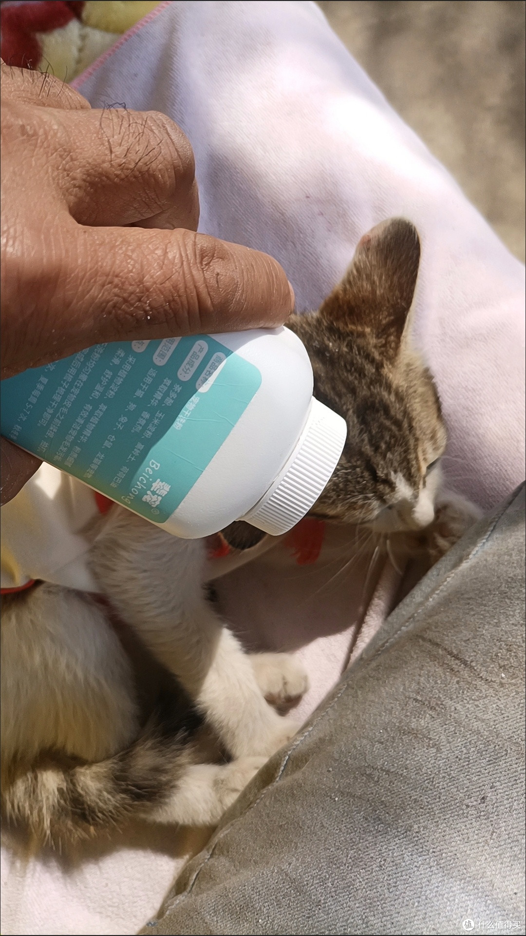 猫咪干洗粉：温和抑菌清洁