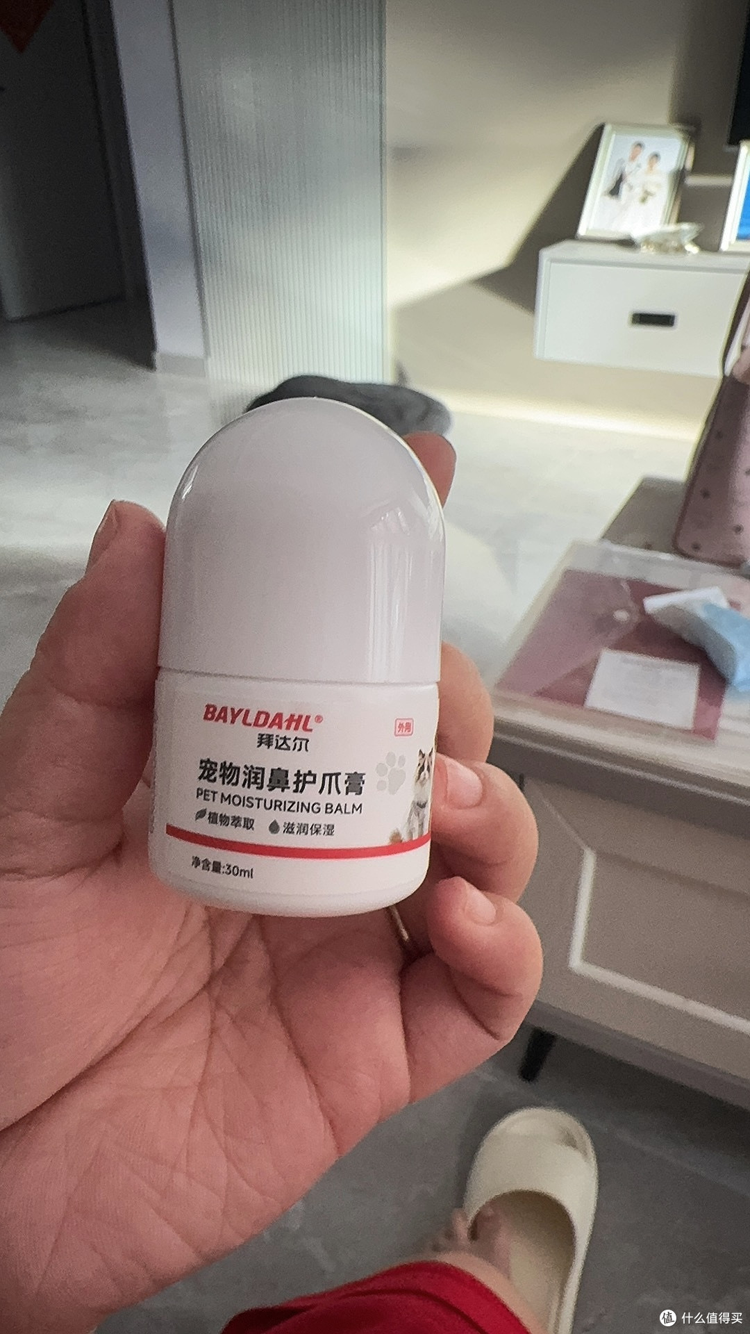 猫咪肉垫干燥护理指南