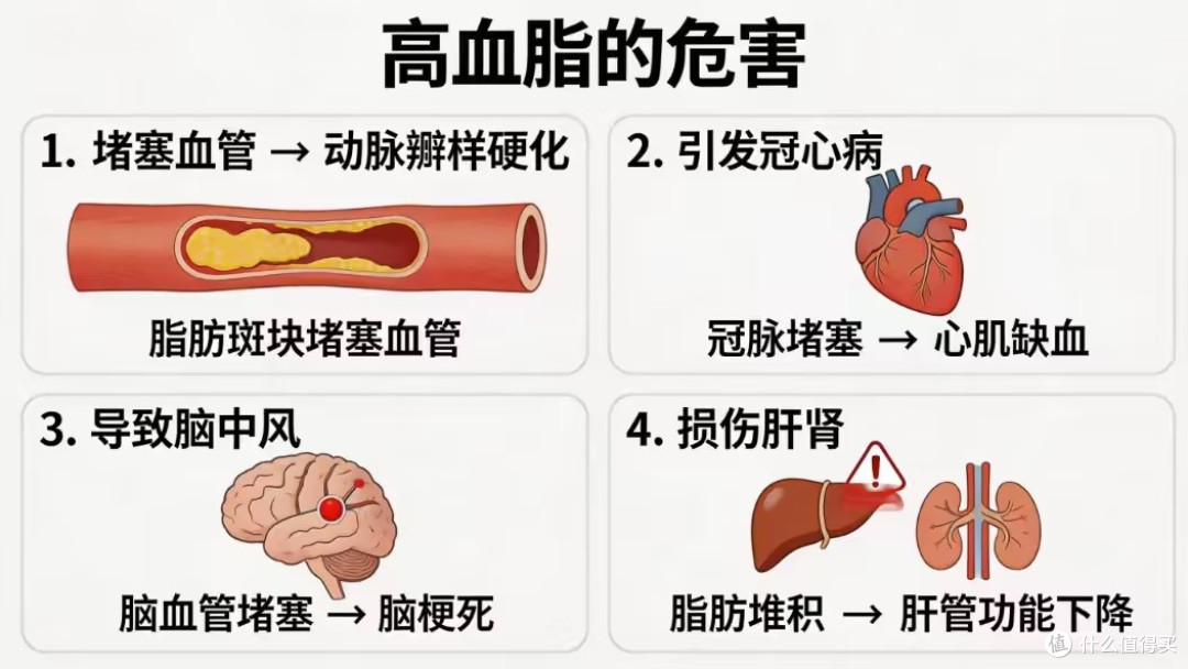 别忽视第四高!四款家用血脂仪横评,读懂三高联动监测