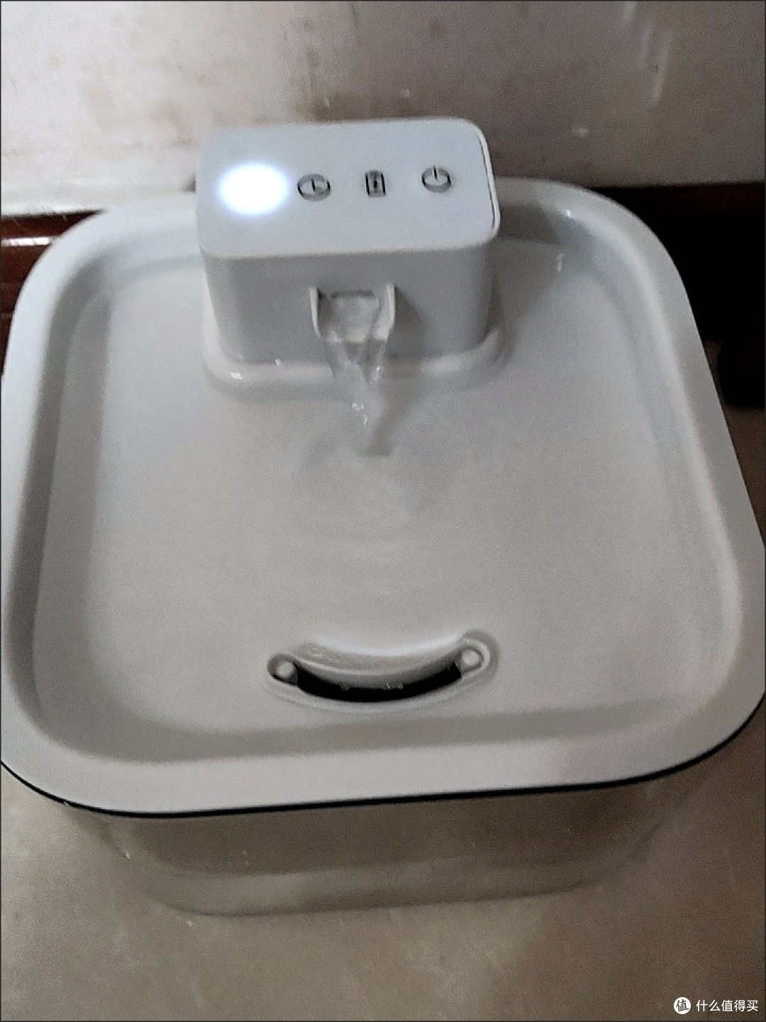 宠物饮水机与储粮桶测评