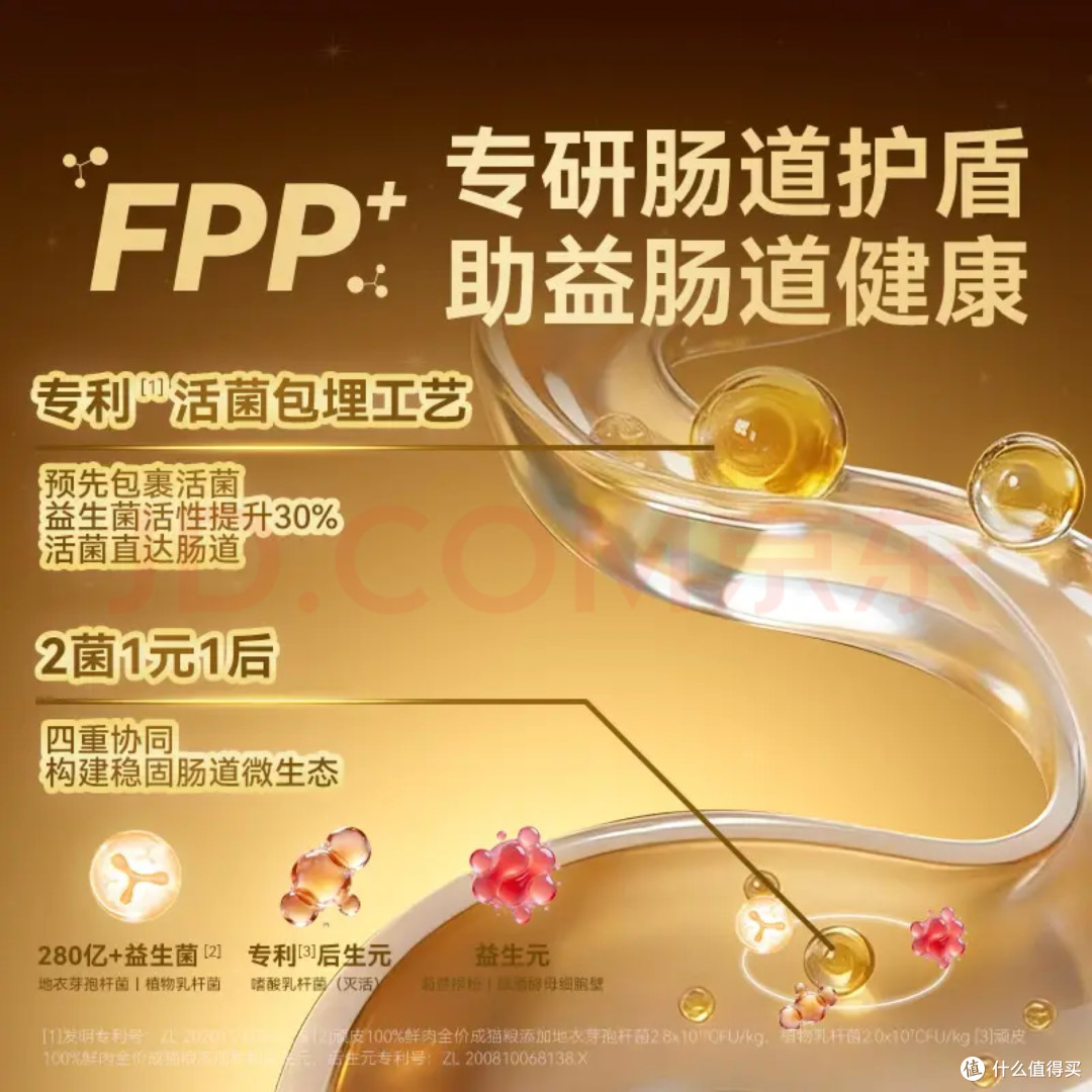 普通家庭养猫神器推荐