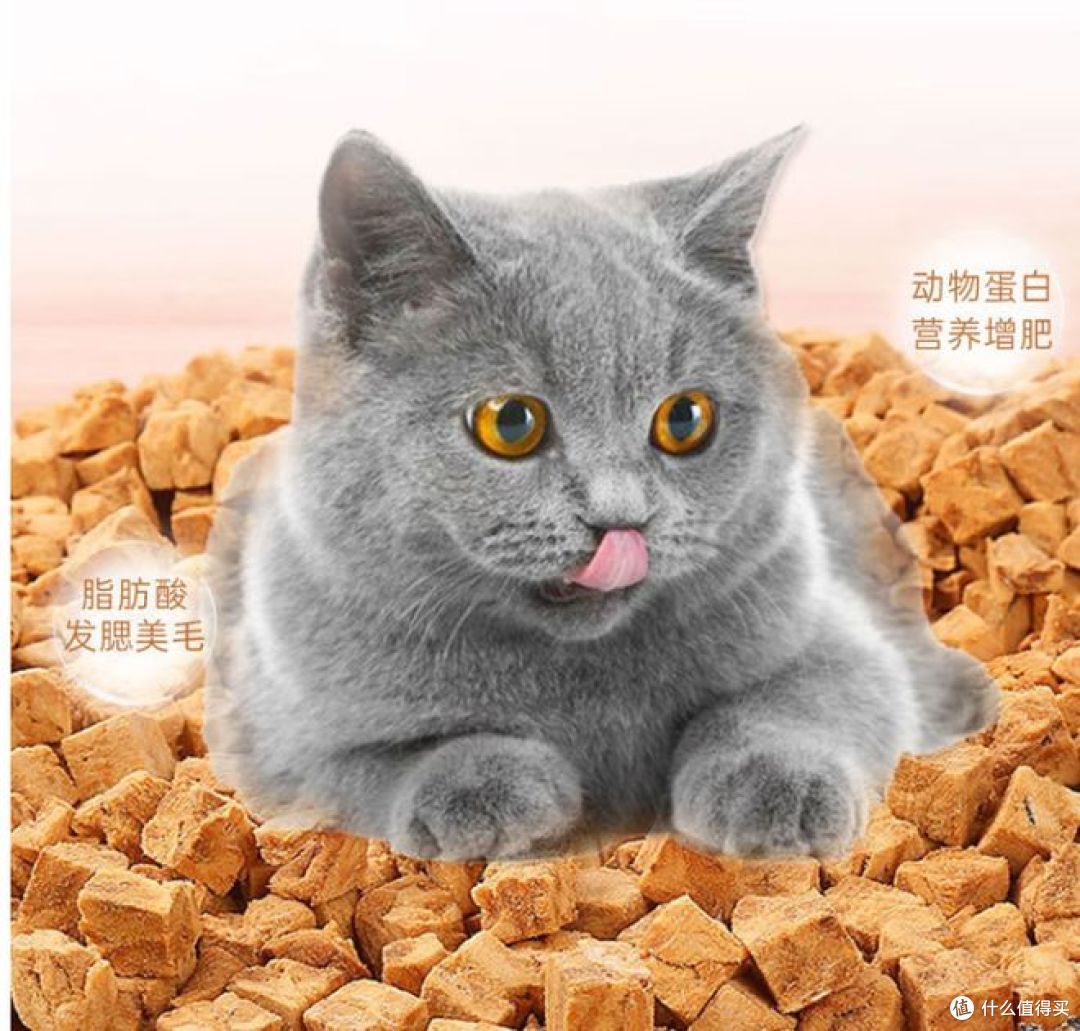 两款热门猫咪零食深度对比：按需选择才是科学喂养关键