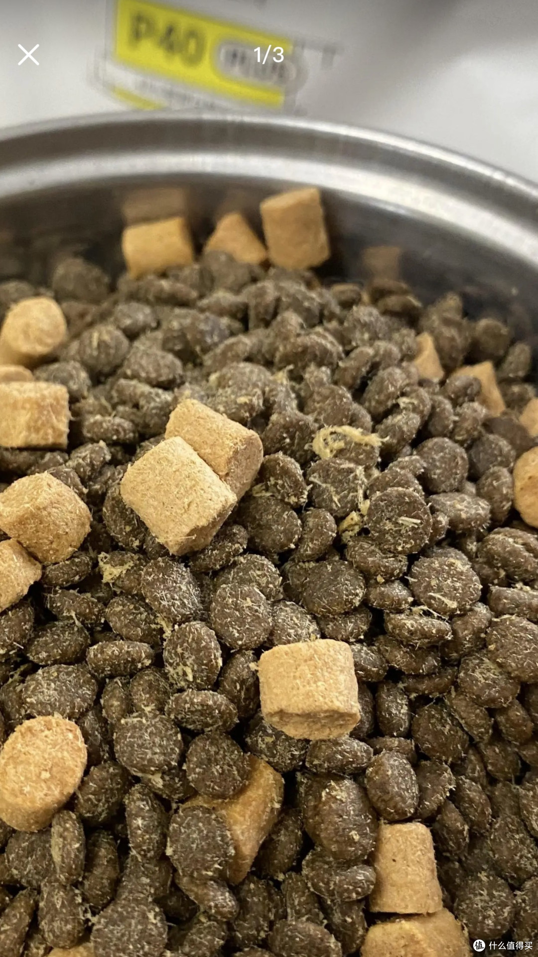 大橘：一只讲究生活的橘猫