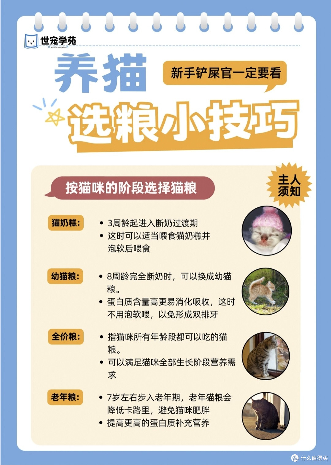 新手铲屎官猫粮选购全攻略|多年养猫实测避坑干货