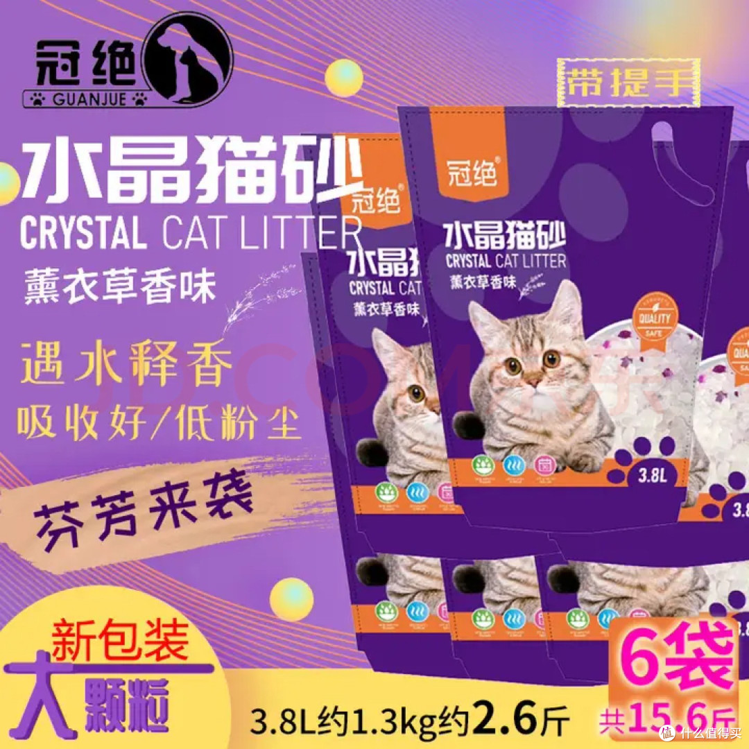 新手养猫避免踩坑指南