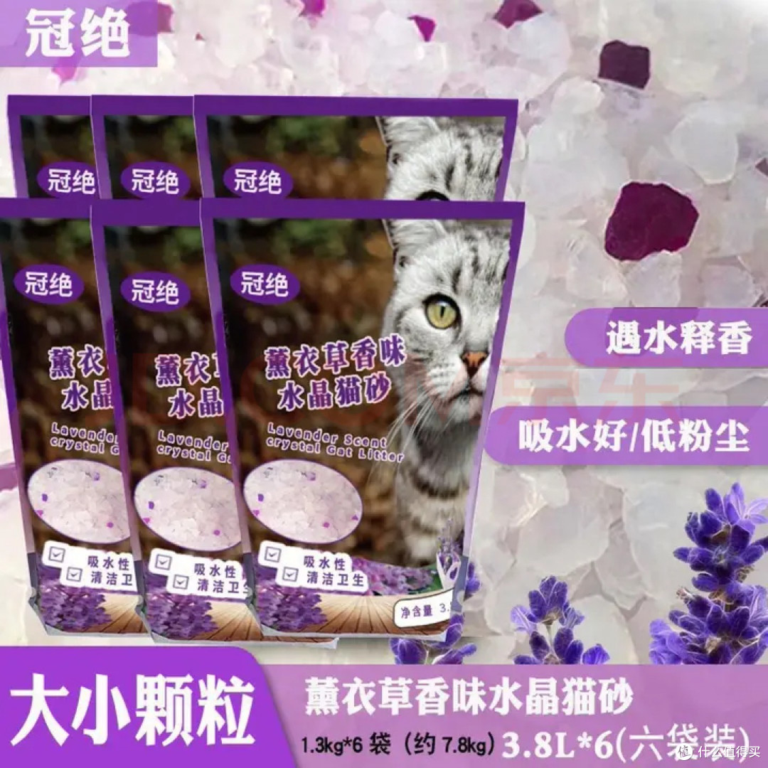 新手养猫避免踩坑指南
