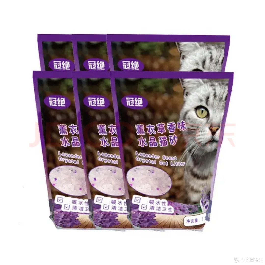 新手养猫避免踩坑指南