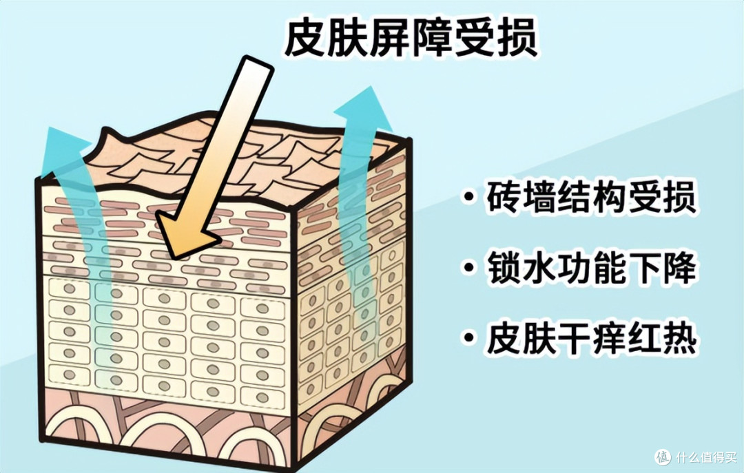 告别"越护越敏感"！TLC皮肤屏障修护策略全解析 | 科学护肤指南