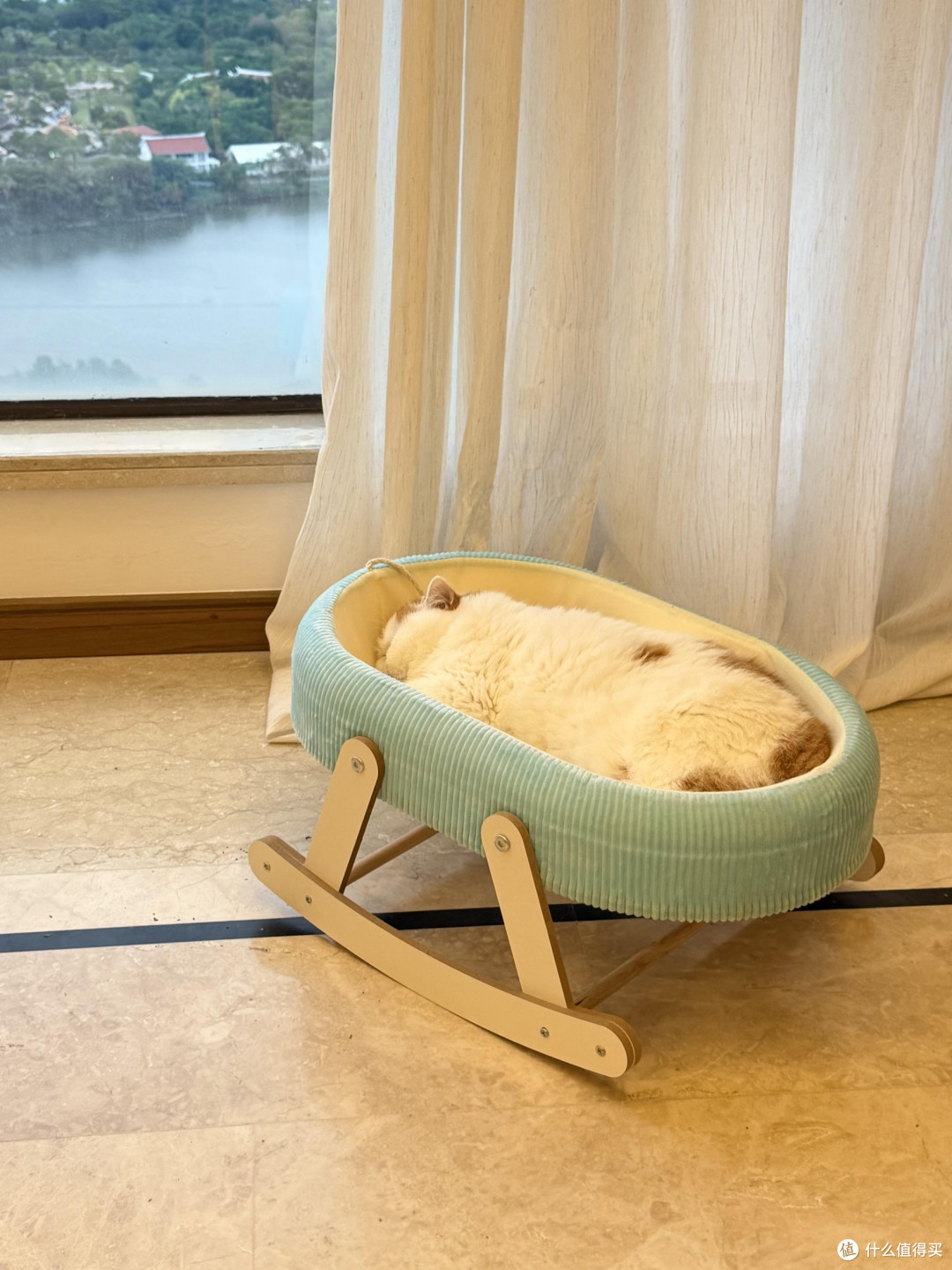 精细化养猫：专属餐具、玩具与作息