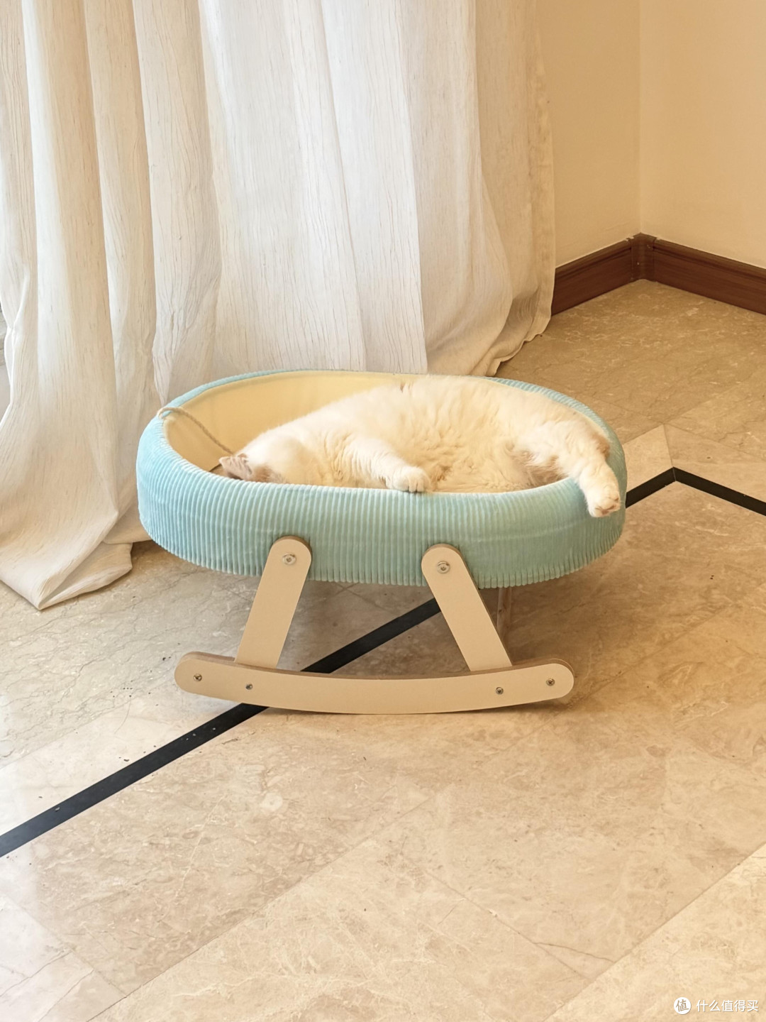 精细化养猫:专属餐具、玩具与作息