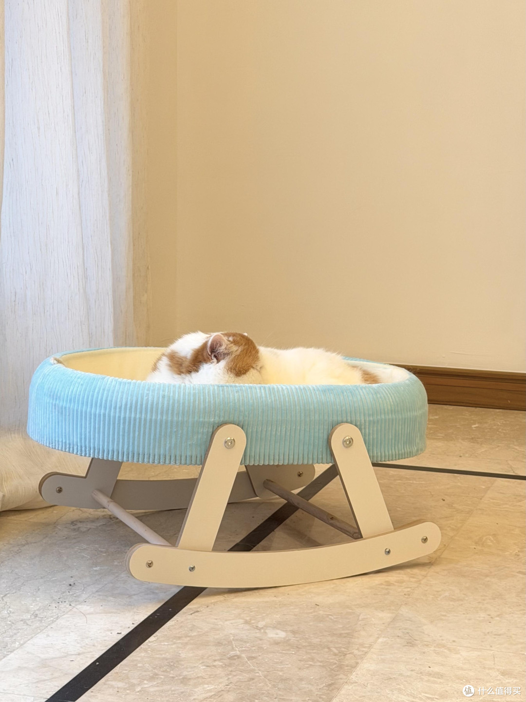精细化养猫:专属餐具、玩具与作息
