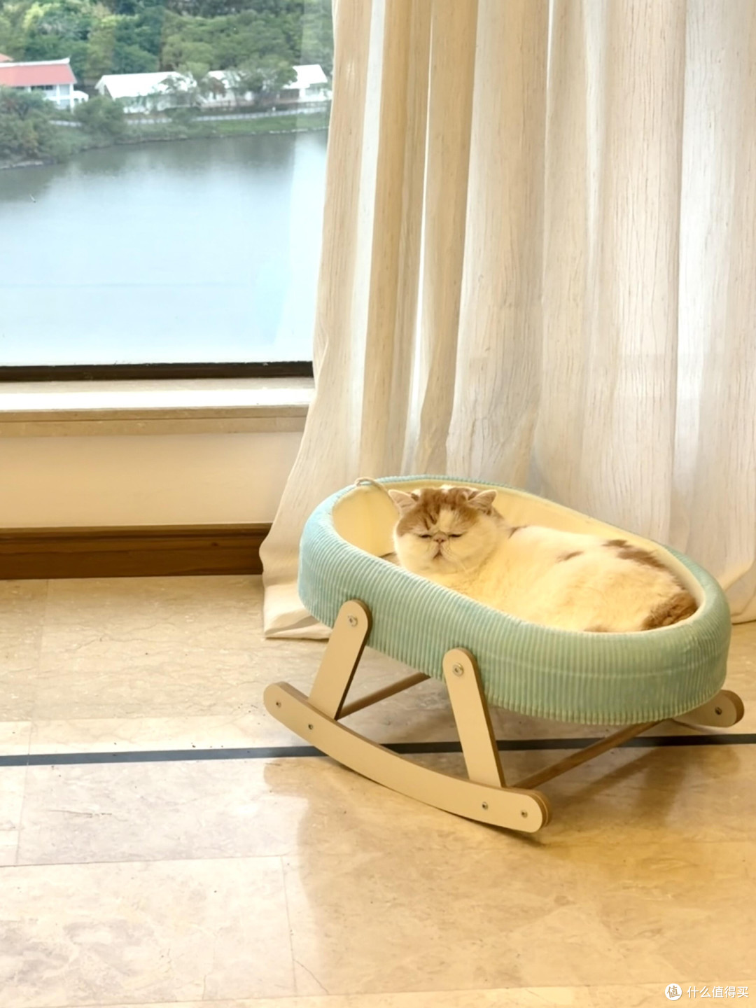 精细化养猫:专属餐具、玩具与作息