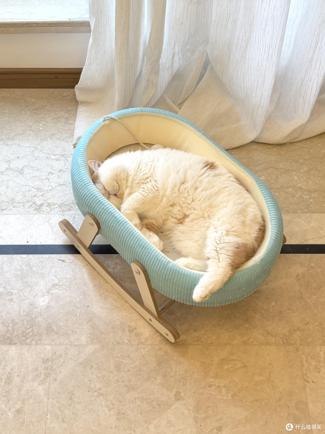精细化养猫:专属餐具、玩具与作息