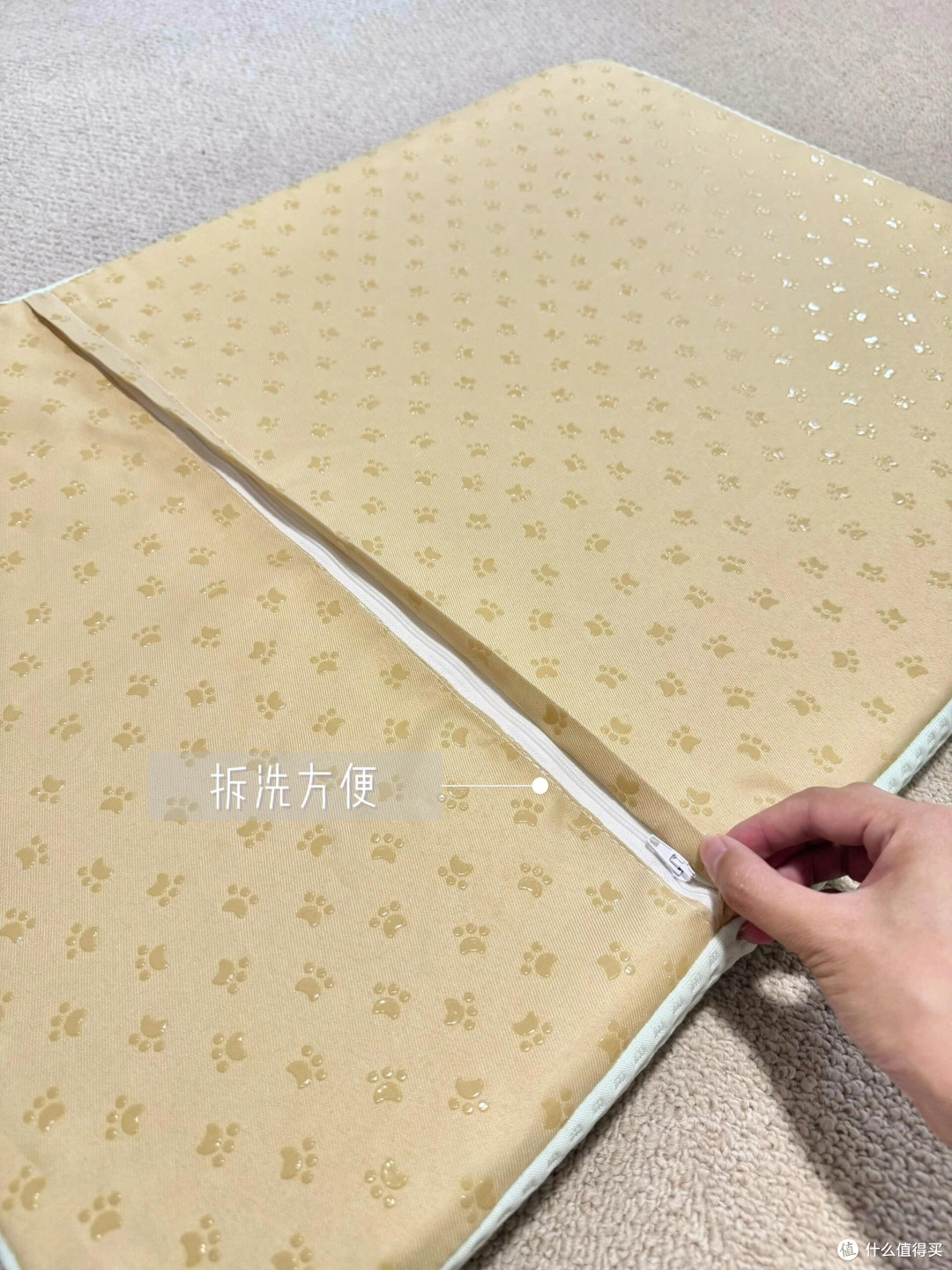宠物夏季消暑的科学方法
