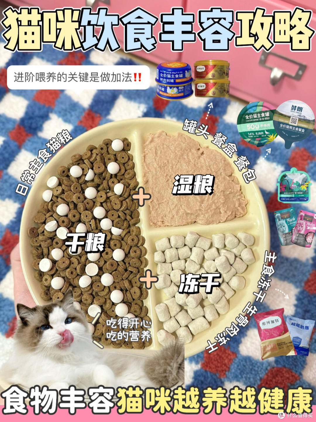 解锁猫咪理想食谱，体态毛发双双在线