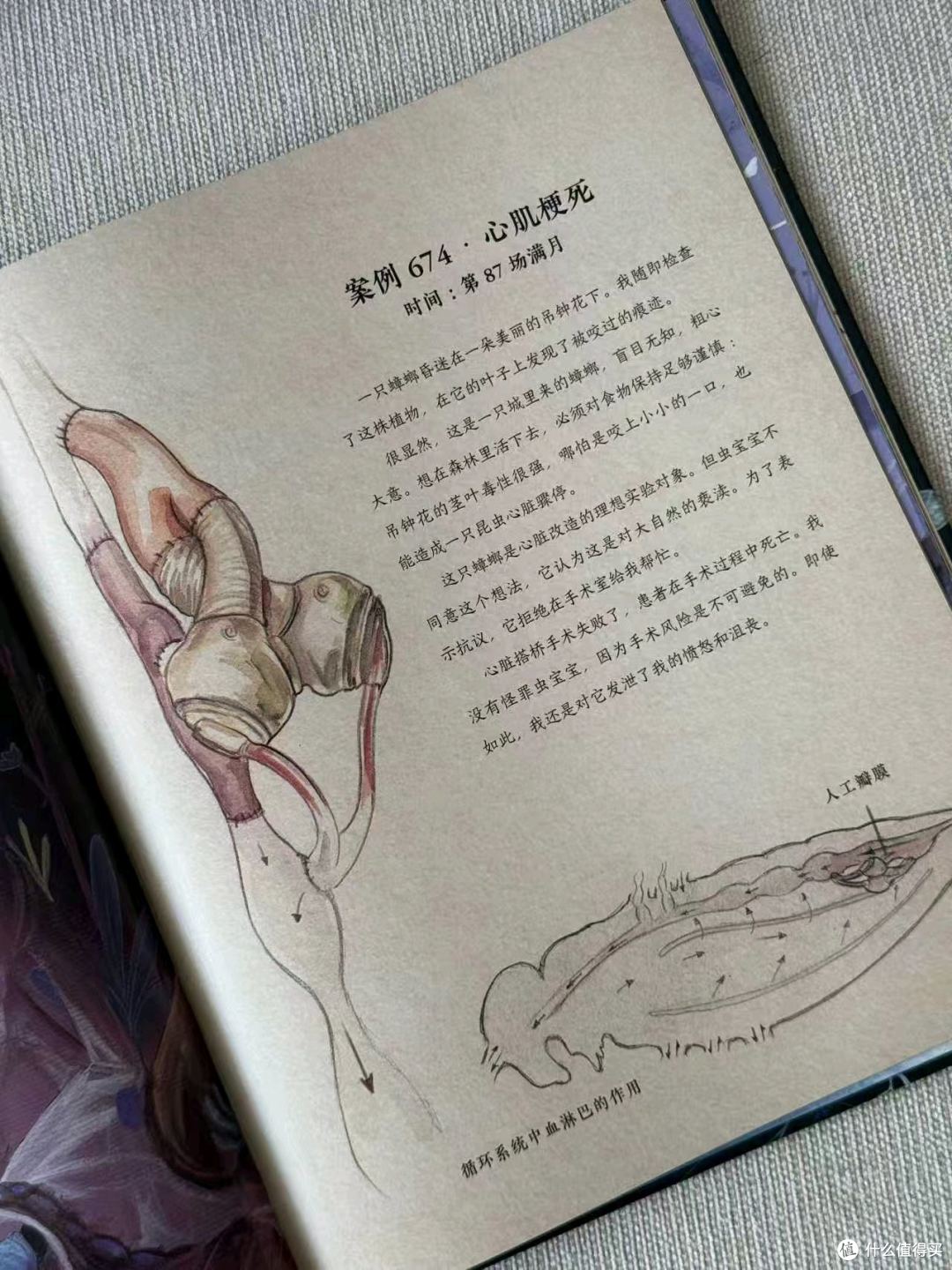治愈封神✨孩子必读的昆虫科普绘本｜温柔又有力量
