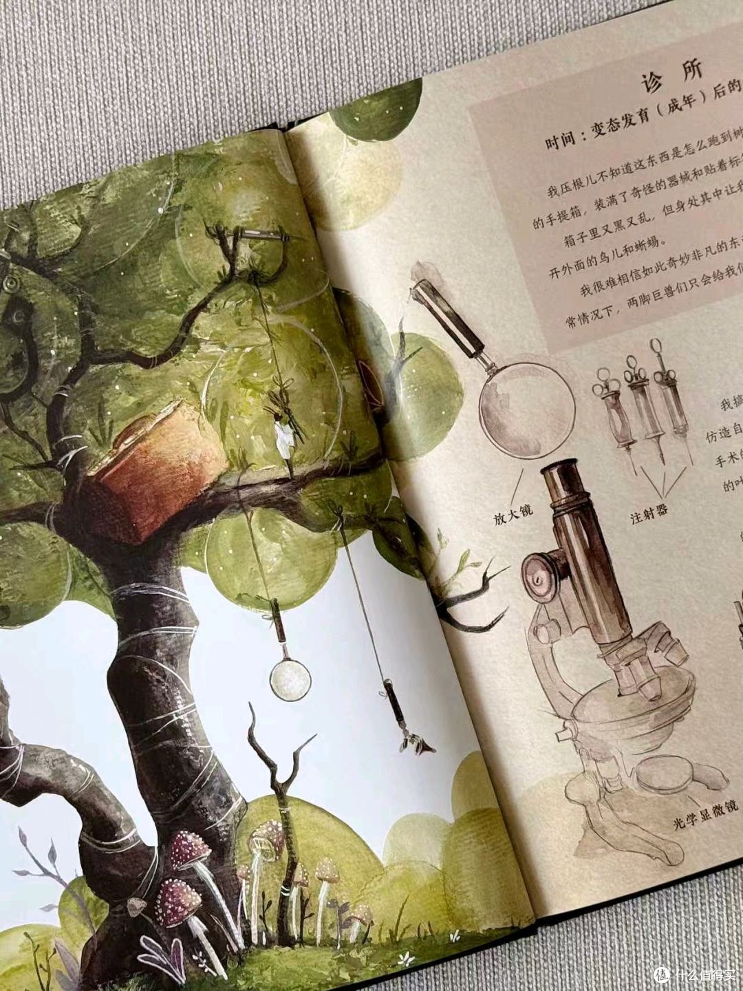 治愈封神✨孩子必读的昆虫科普绘本｜温柔又有力量