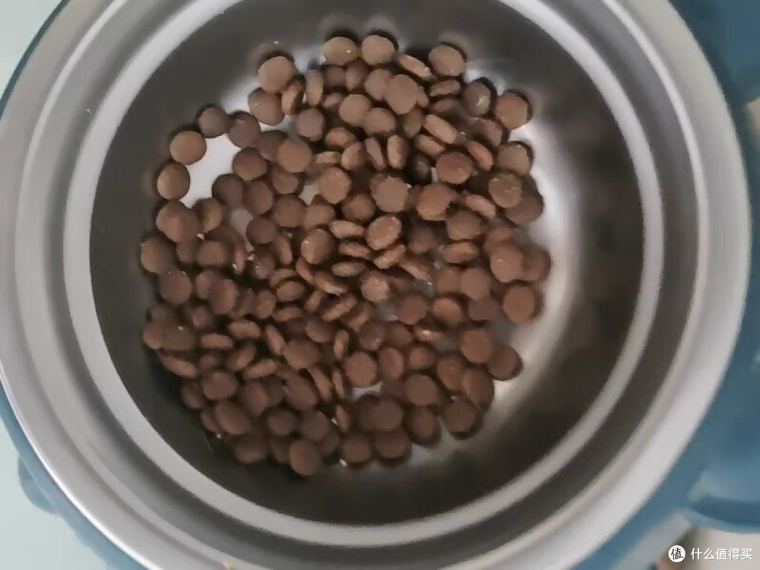 鱼油猫粮真能减少掉毛？