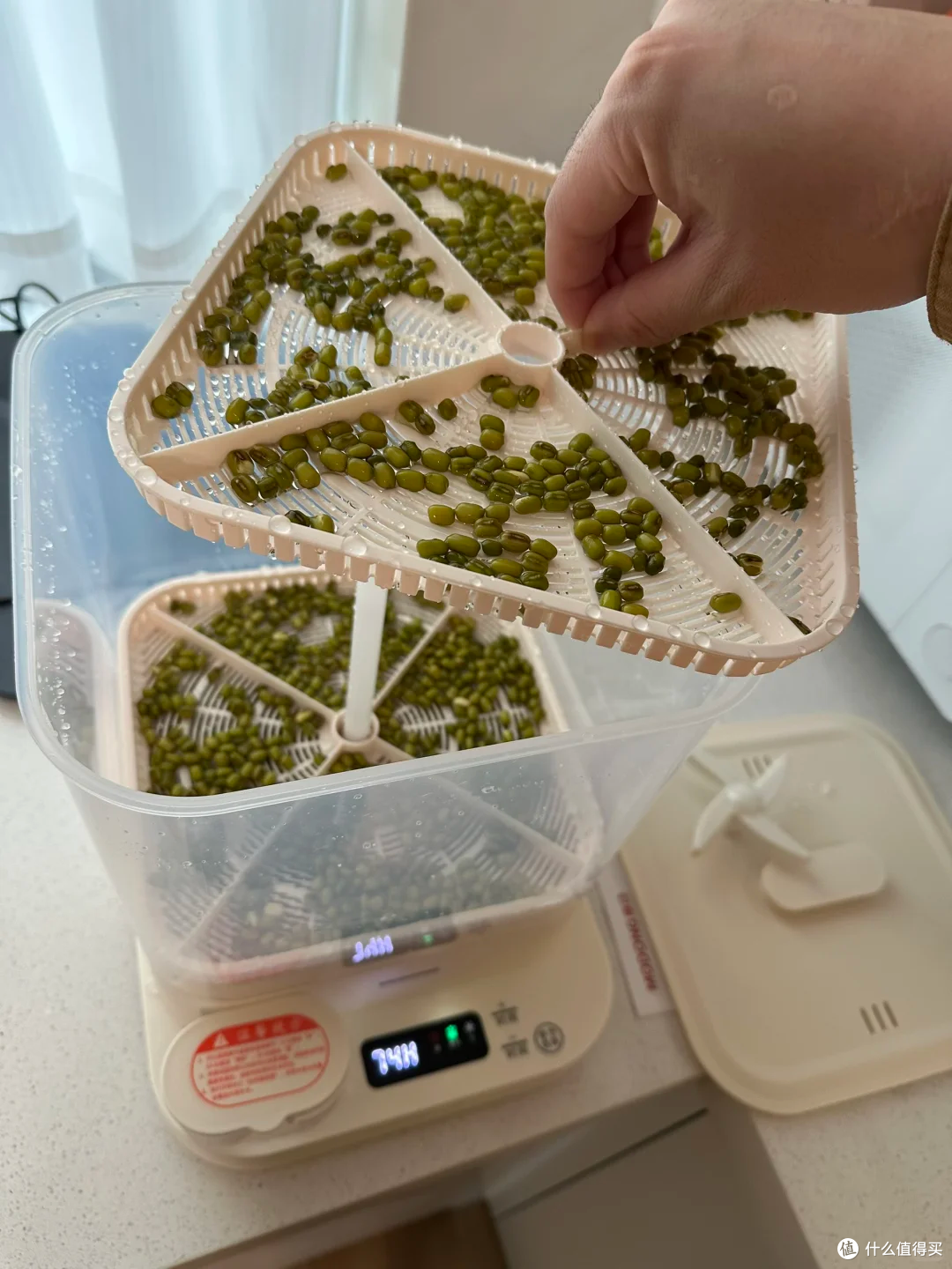 求求你们，别再买这15种小家电了，再买储物间都放不下了