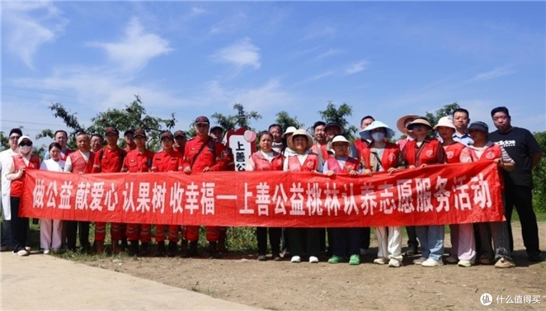 十年桃林献大爱 群英护航采摘季