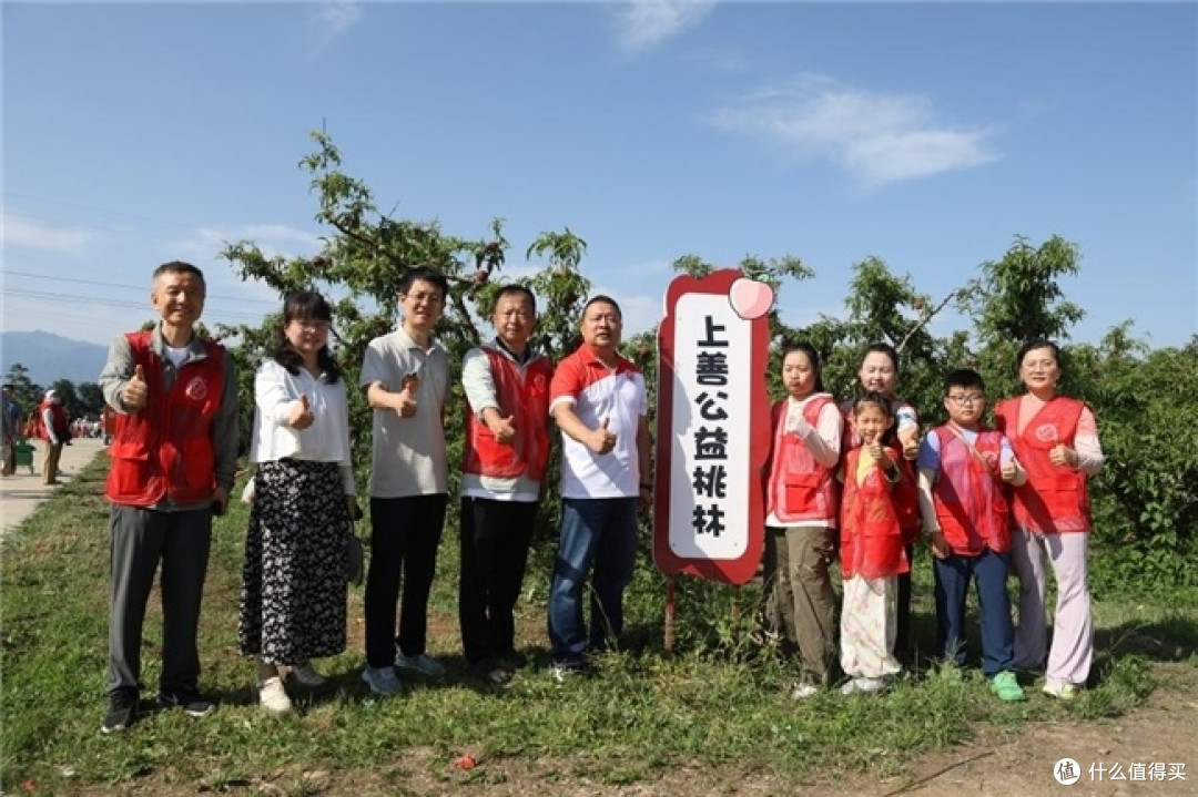 十年桃林献大爱 群英护航采摘季