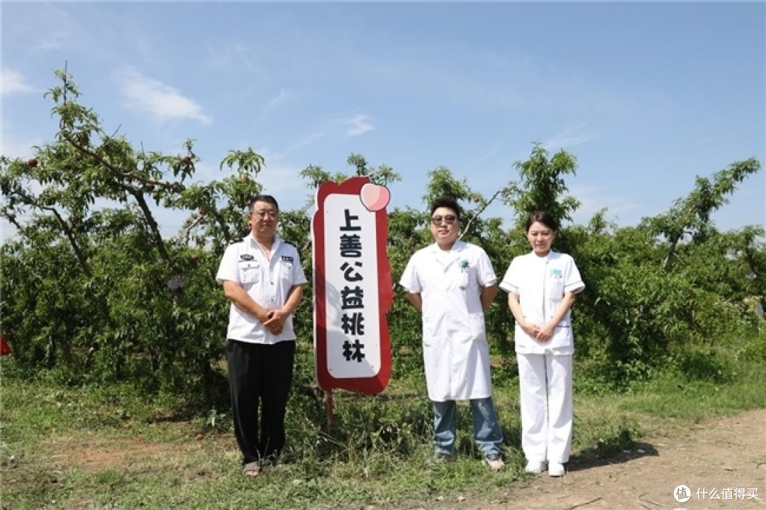 十年桃林献大爱 群英护航采摘季