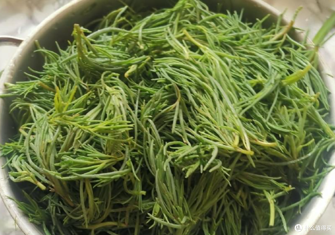 7月使劲吃这菜,一护眼,二清肺,三通便、四祛湿,口感嫩营养高