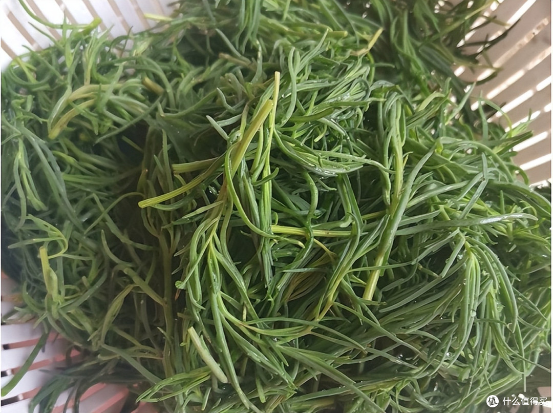 7月使劲吃这菜,一护眼,二清肺,三通便、四祛湿,口感嫩营养高