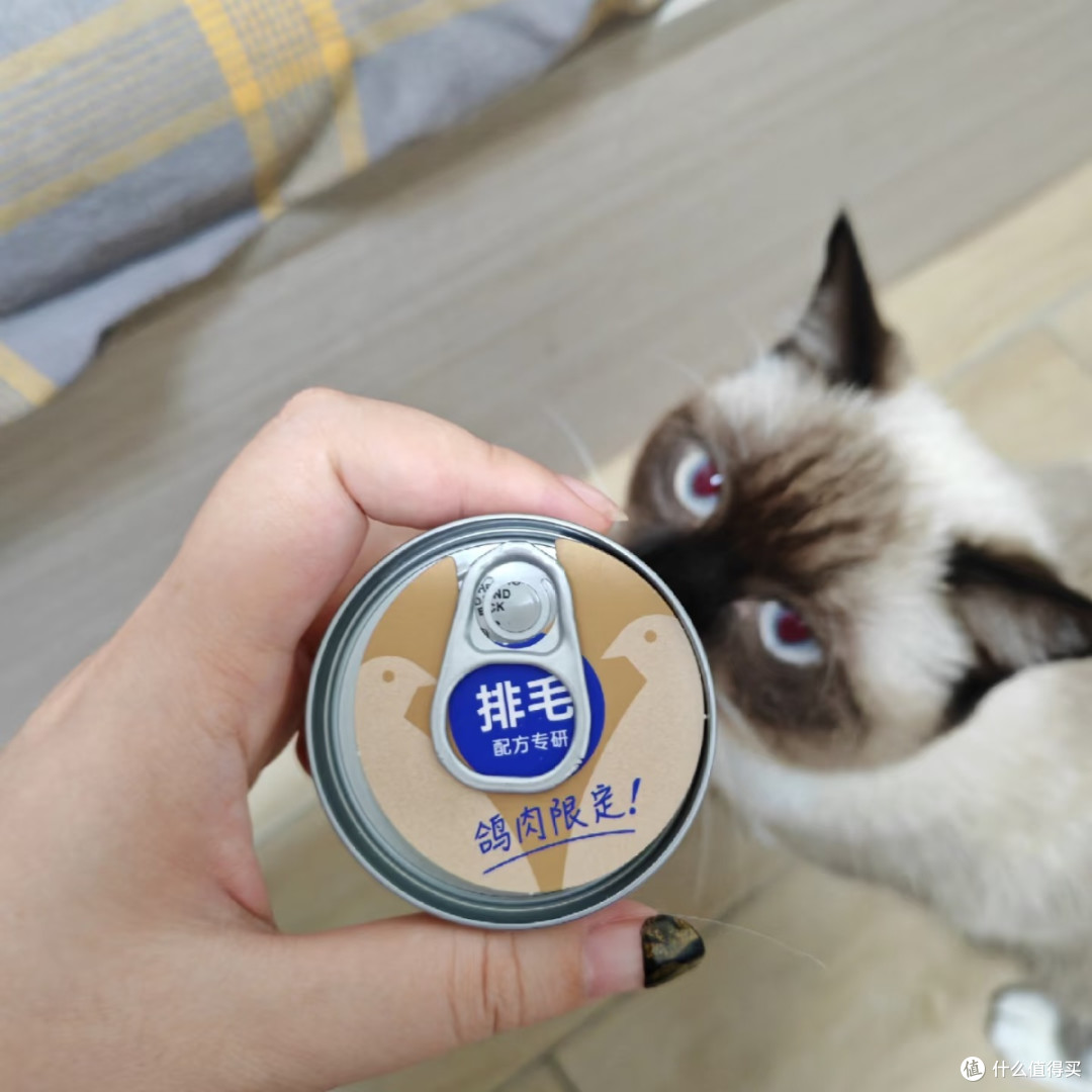 小壳排毛罐鸽肉款｜掉毛星人猫咪的化毛干饭神器