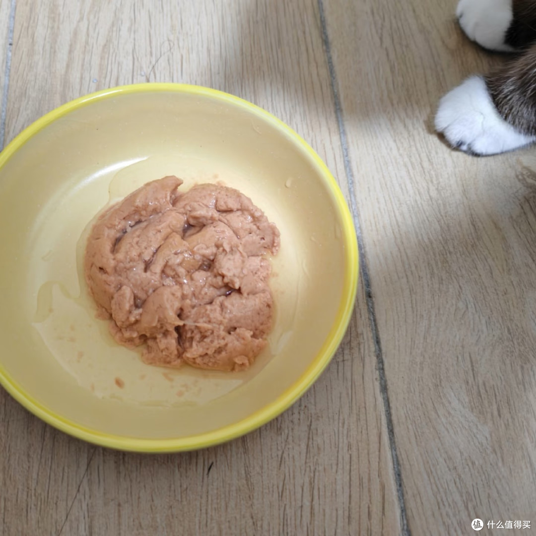 小壳排毛罐鸽肉款｜掉毛星人猫咪的化毛干饭神器