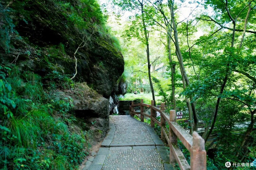 登顶无需爬山,被联合国评为世界遗产的仙山究竟有多绝!