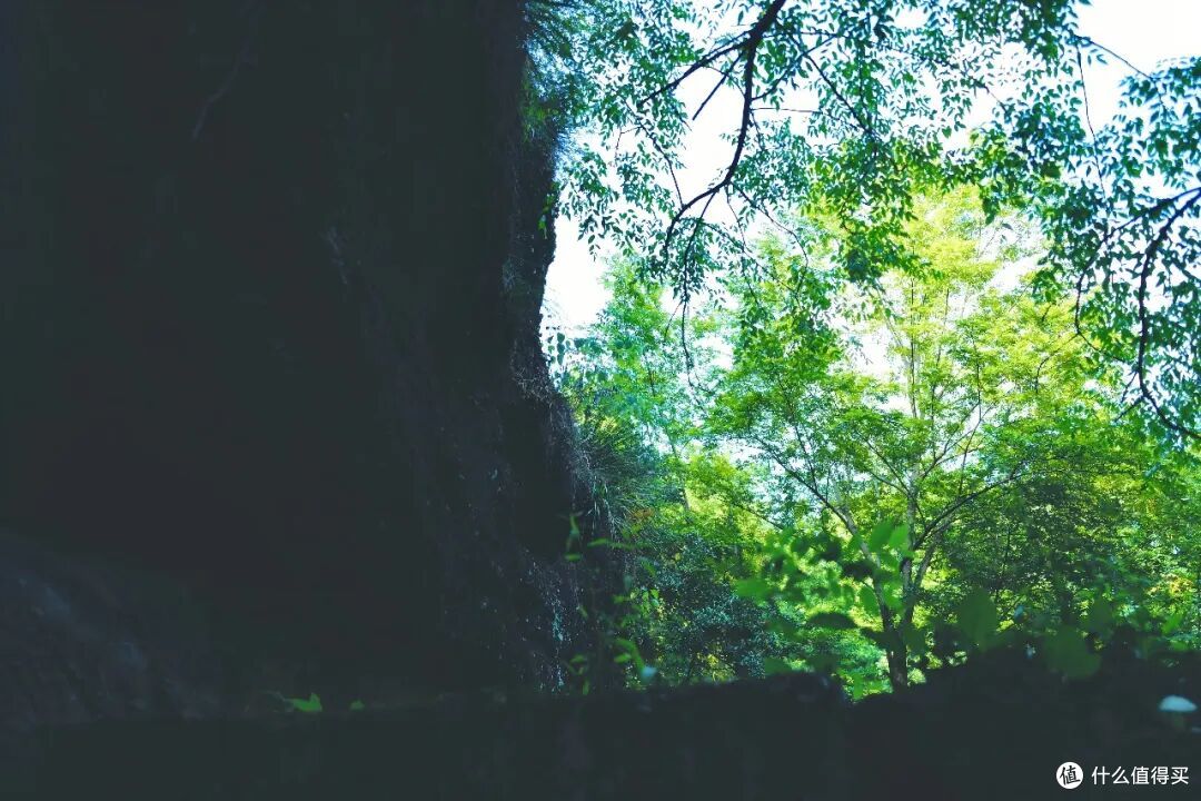 登顶无需爬山,被联合国评为世界遗产的仙山究竟有多绝!
