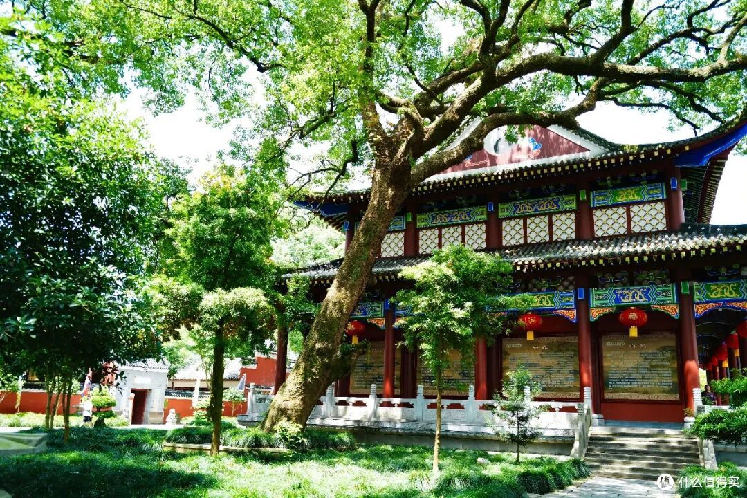 登顶无需爬山,被联合国评为世界遗产的仙山究竟有多绝!