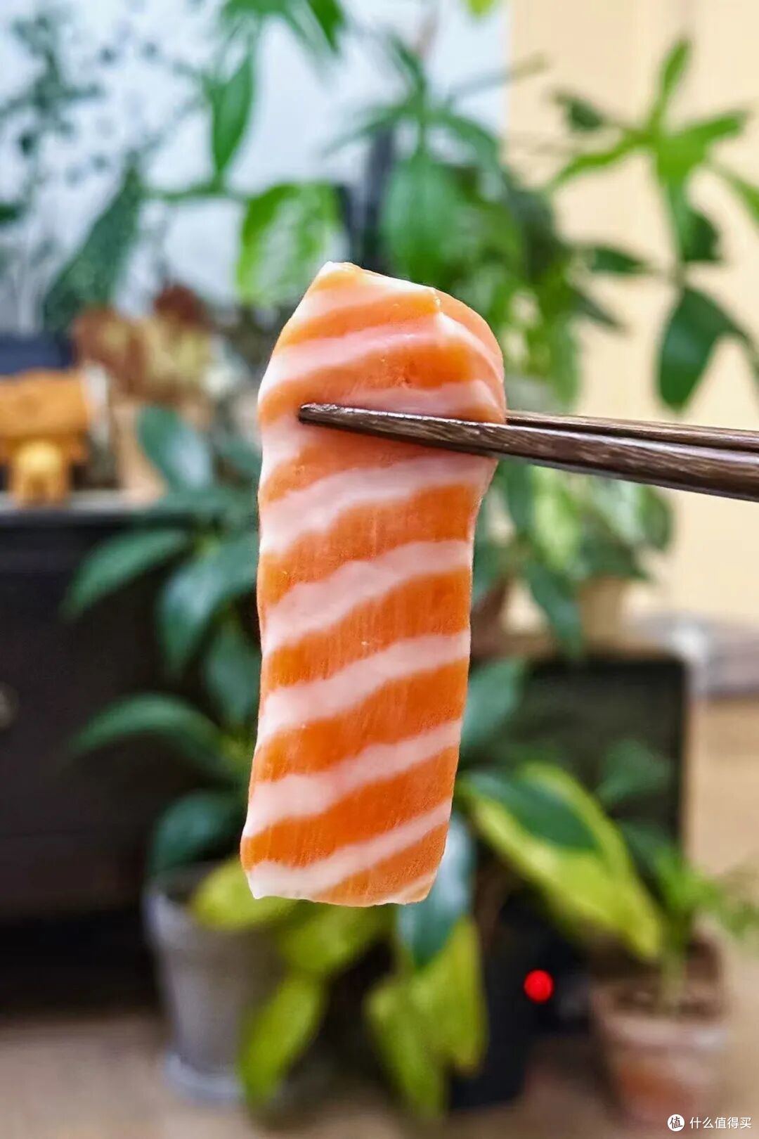 人均不过百,刺身吃到爽!在这座城轻松实现日料自由,性价比一绝