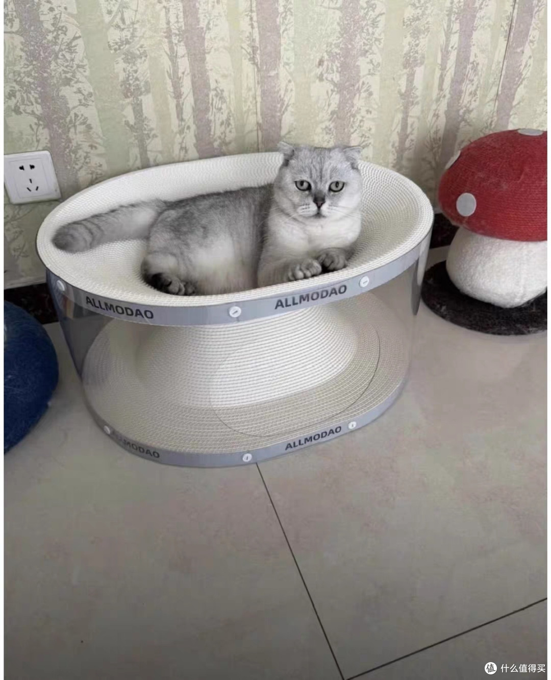多功能猫抓板窝隧道，猫咪居家必备