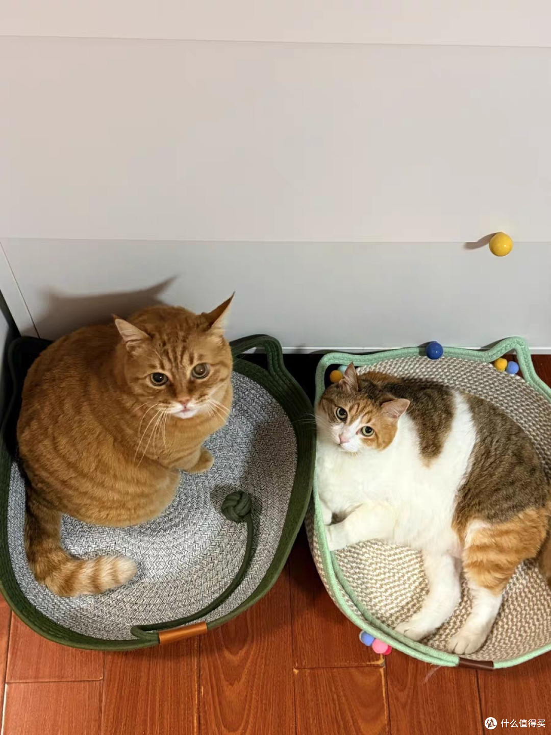 藤编猫抓板猫窝，四季通用