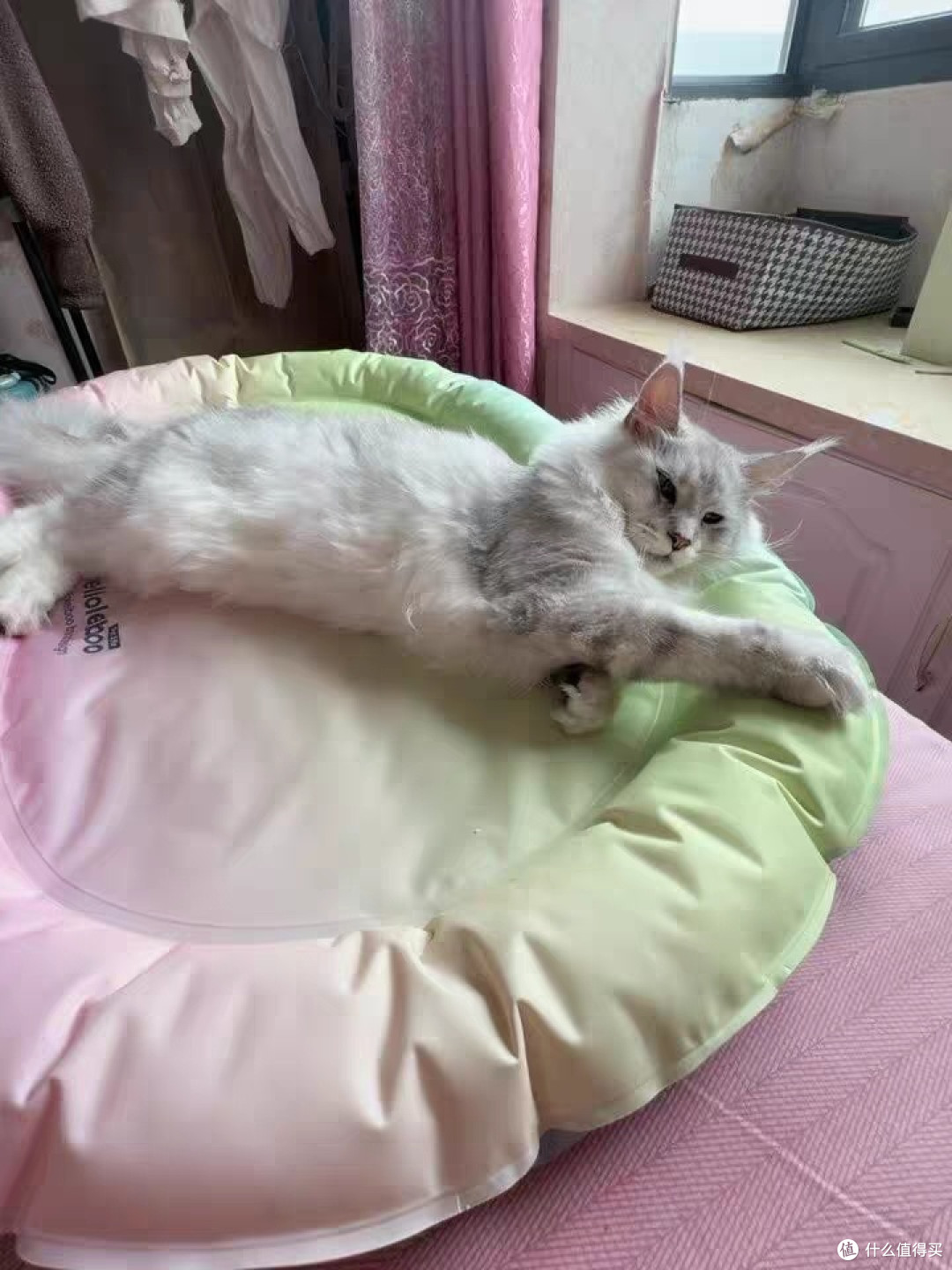 宠物凉垫：凝胶自降温设计